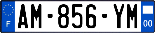 AM-856-YM