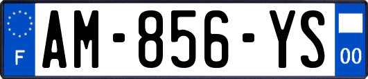 AM-856-YS