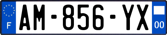 AM-856-YX