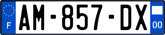 AM-857-DX