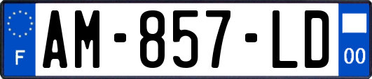 AM-857-LD