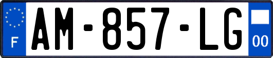 AM-857-LG