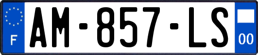 AM-857-LS
