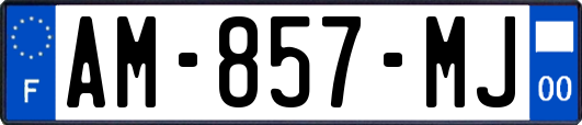 AM-857-MJ