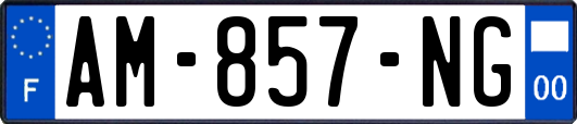 AM-857-NG