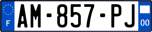 AM-857-PJ