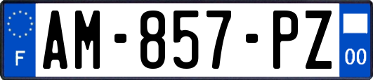 AM-857-PZ