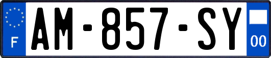 AM-857-SY