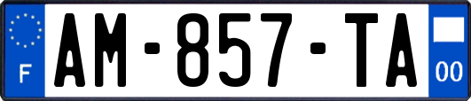 AM-857-TA