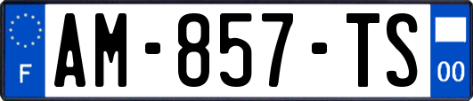 AM-857-TS