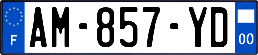 AM-857-YD