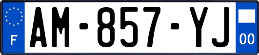 AM-857-YJ