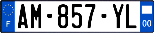 AM-857-YL