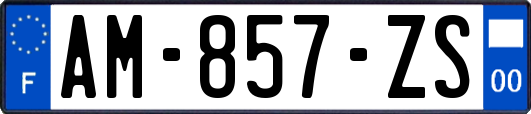 AM-857-ZS