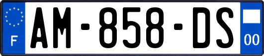 AM-858-DS