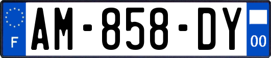 AM-858-DY