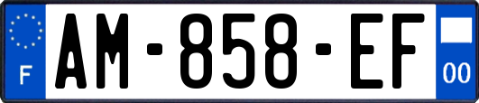 AM-858-EF