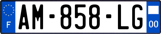 AM-858-LG