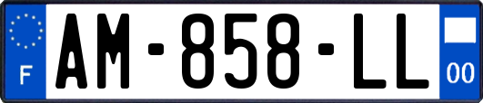 AM-858-LL
