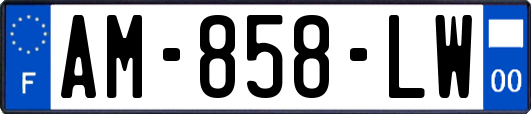 AM-858-LW