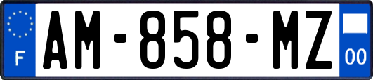 AM-858-MZ