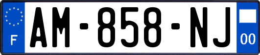 AM-858-NJ