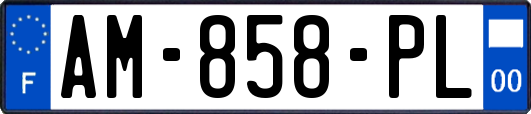 AM-858-PL