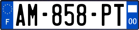 AM-858-PT