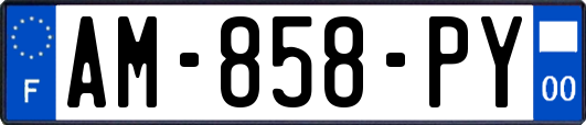 AM-858-PY