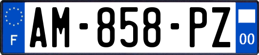 AM-858-PZ
