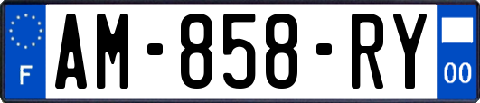 AM-858-RY