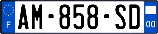 AM-858-SD