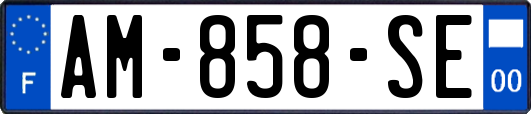 AM-858-SE