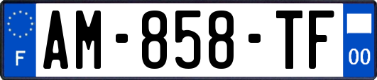 AM-858-TF
