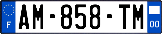 AM-858-TM