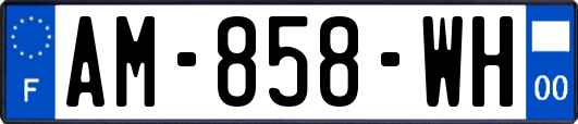 AM-858-WH