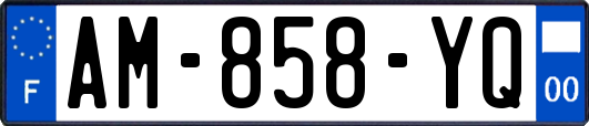 AM-858-YQ