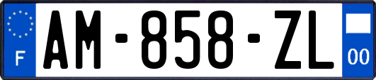 AM-858-ZL