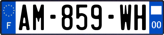 AM-859-WH