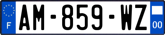 AM-859-WZ