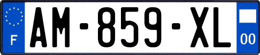 AM-859-XL