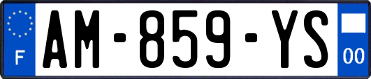 AM-859-YS