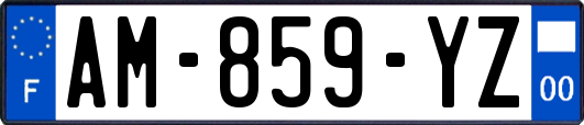 AM-859-YZ