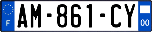 AM-861-CY