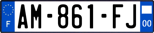 AM-861-FJ