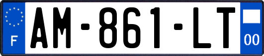 AM-861-LT
