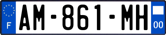 AM-861-MH