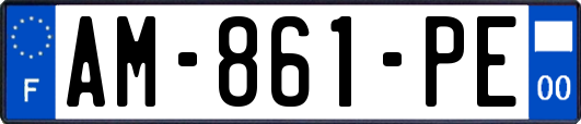 AM-861-PE