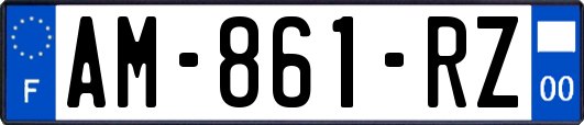 AM-861-RZ