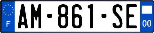 AM-861-SE
